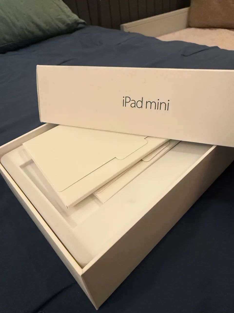 iPad mini 16 GB PRATA