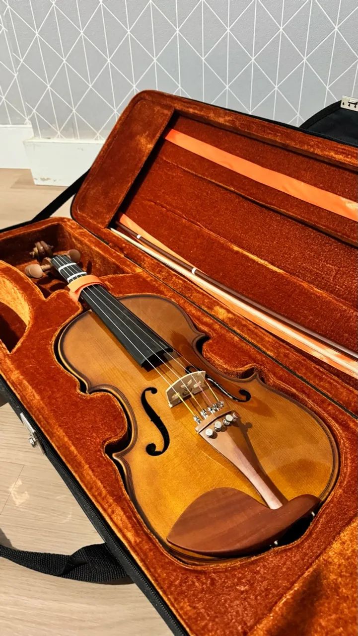 Violino eagle  - Foto 2