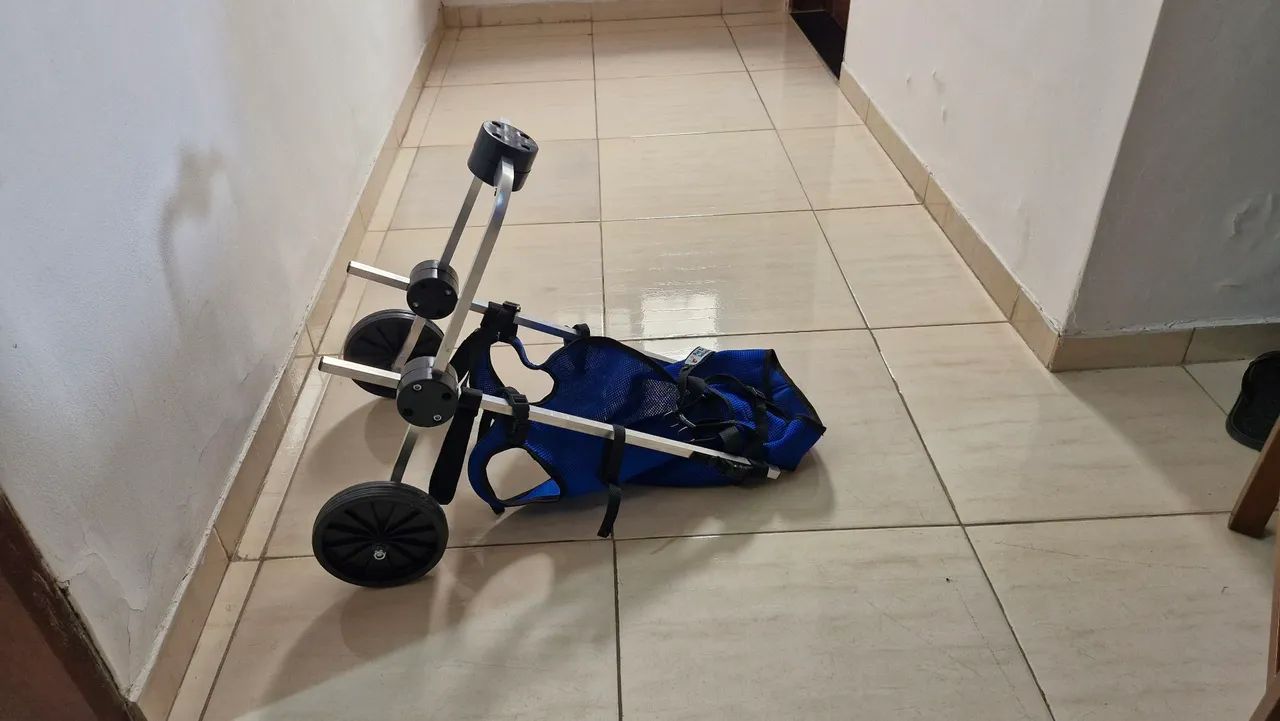 Cadeira roda para cães  - Foto 2