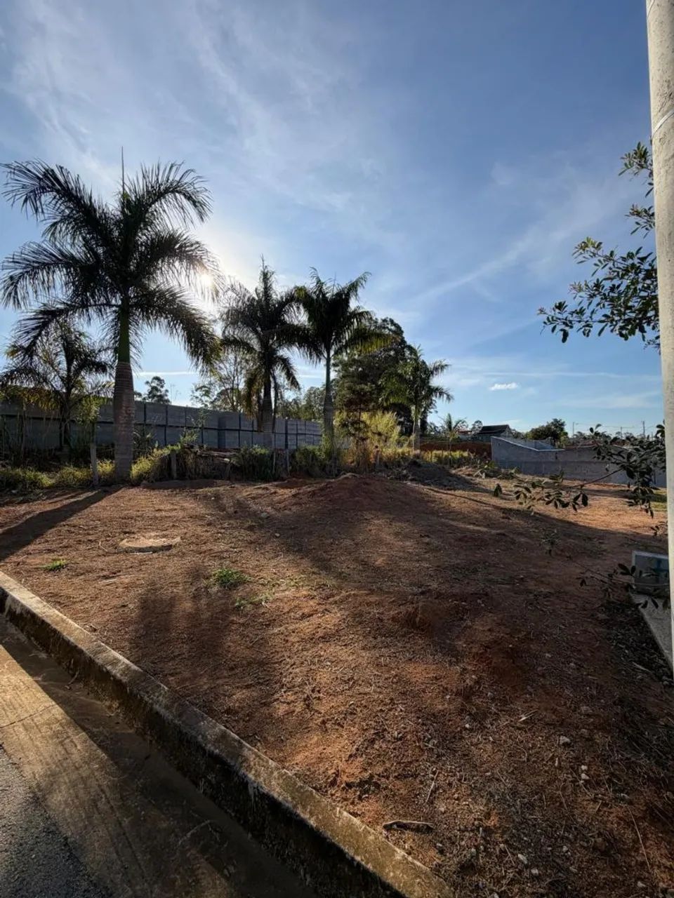 Foto - São José dos Campos - Bosque dos Eucaliptos