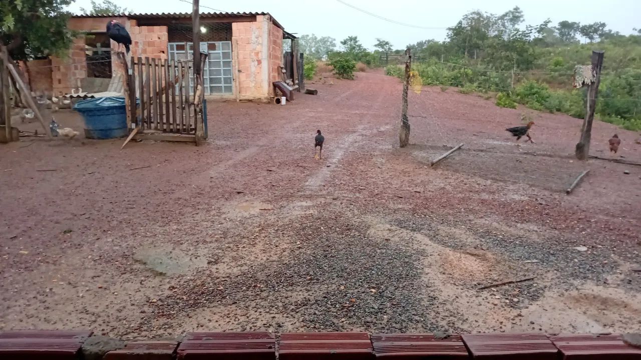 Foto - Santo Antônio do Descoberto - Parque Estrela Dalva XI