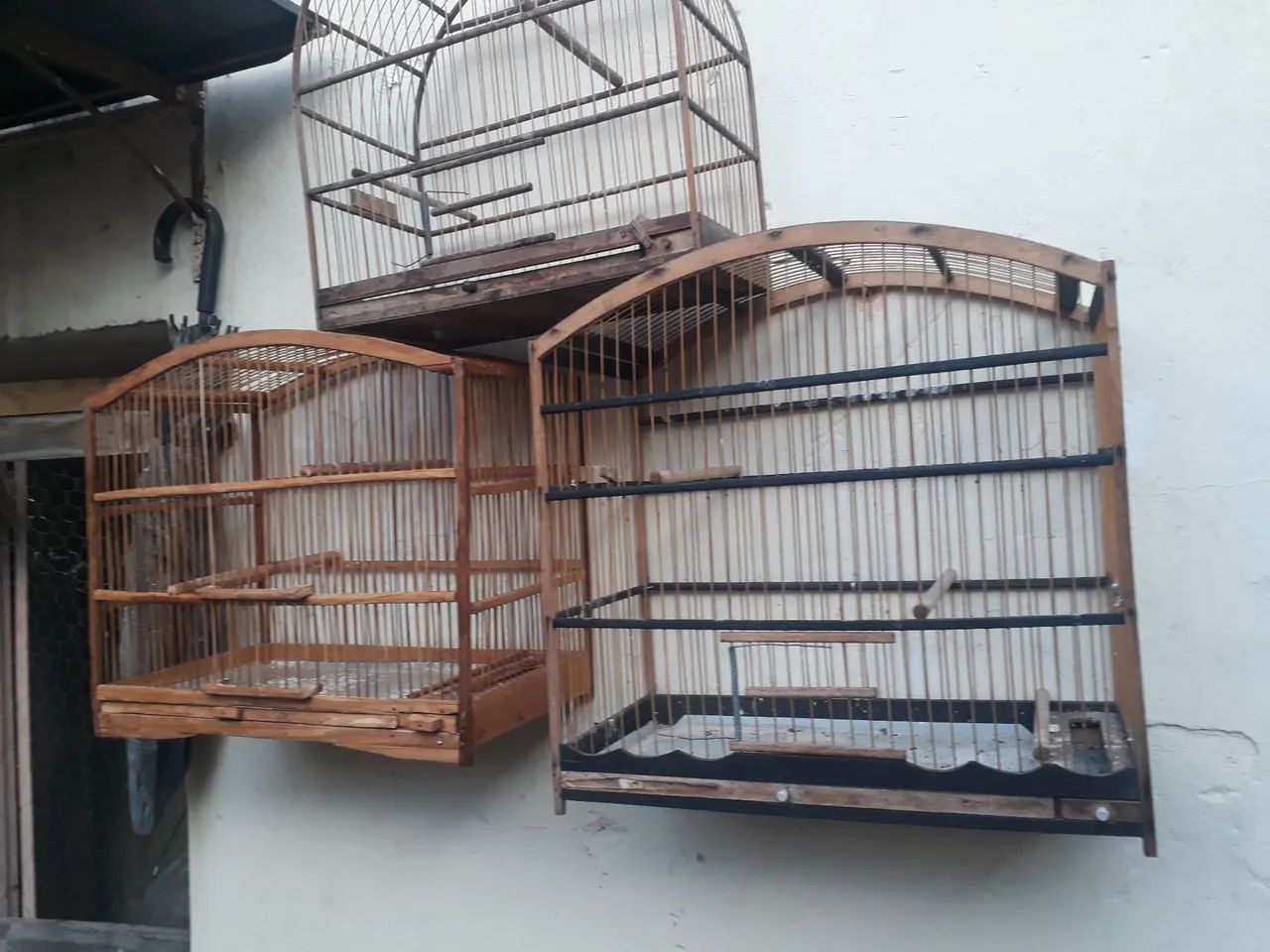 Vendo ótimas gaiolas de belgas e pretinhos. Baratas - Foto 4