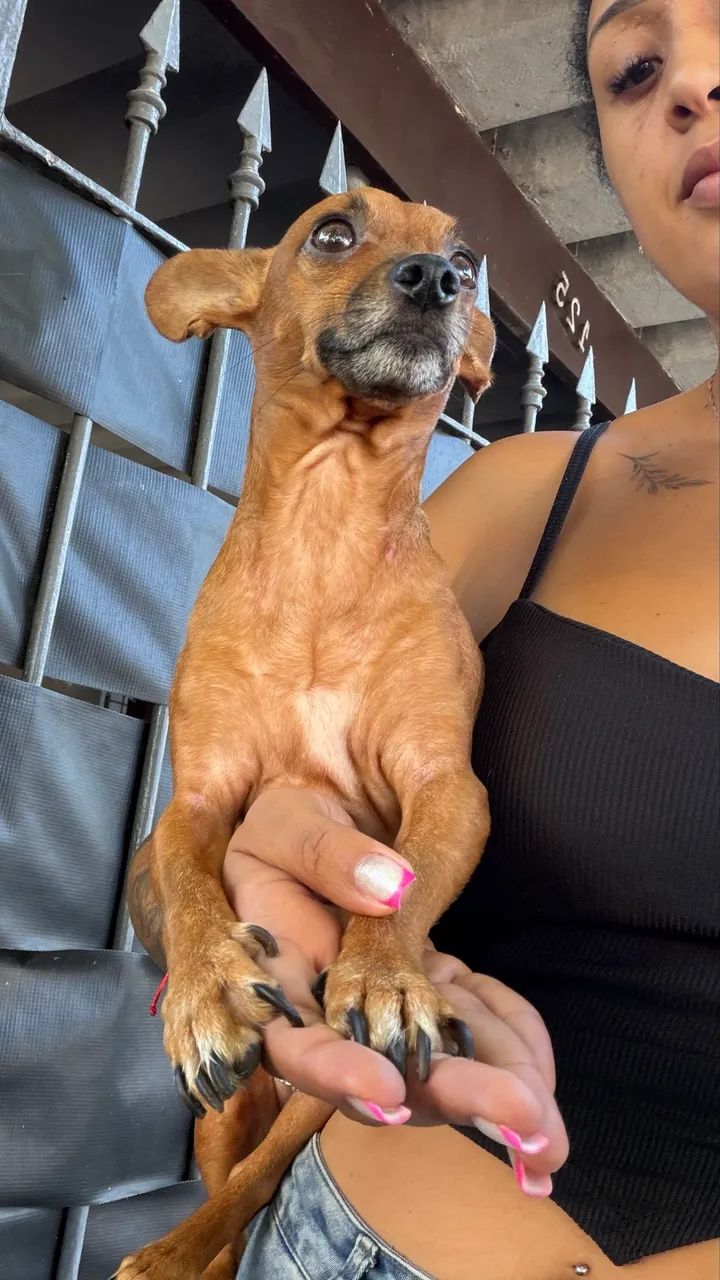 iPhone 13 256gb + capinhas - Foto 5