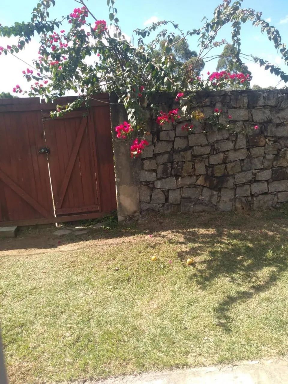Foto - Cotia - Projeto Jardim