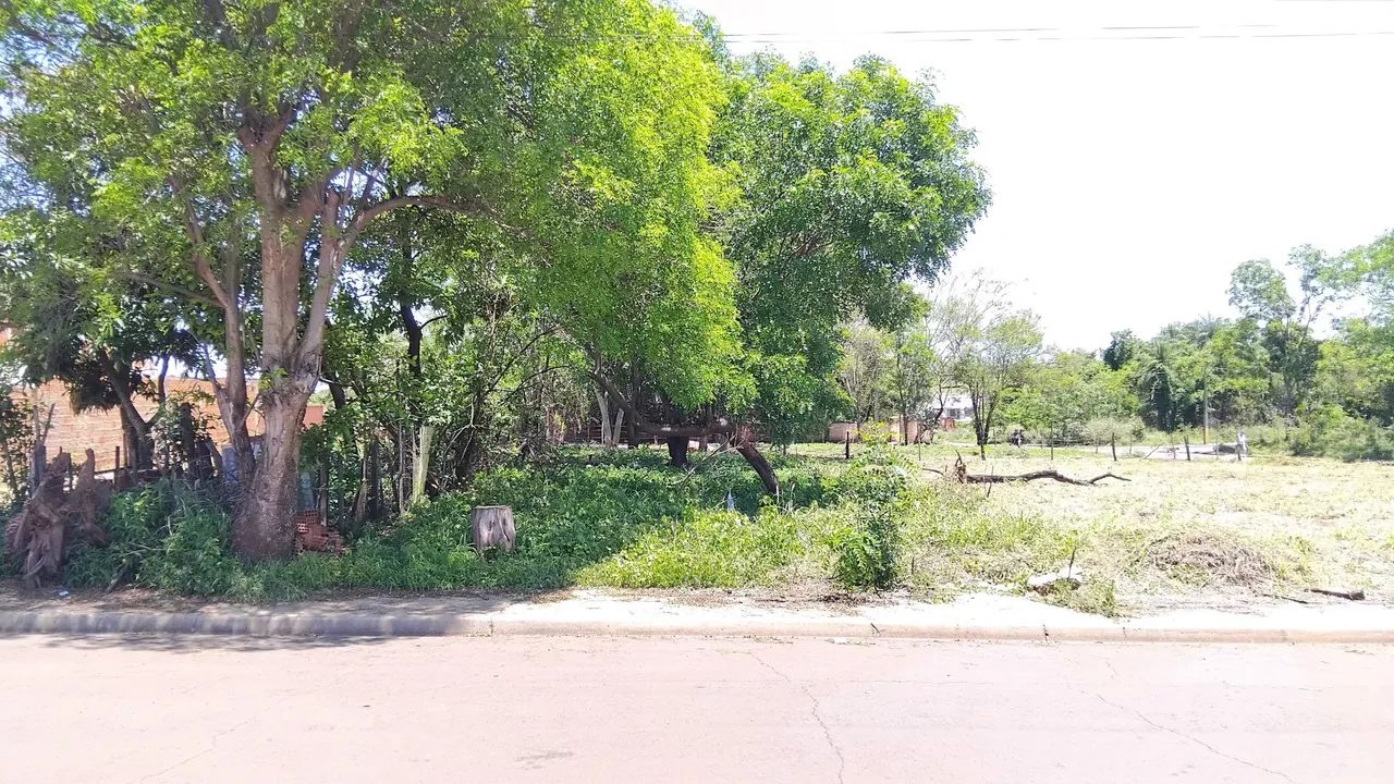 Terreno 10x30
