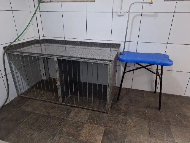 Banho e Tosa completo (pet shop) - Foto 6