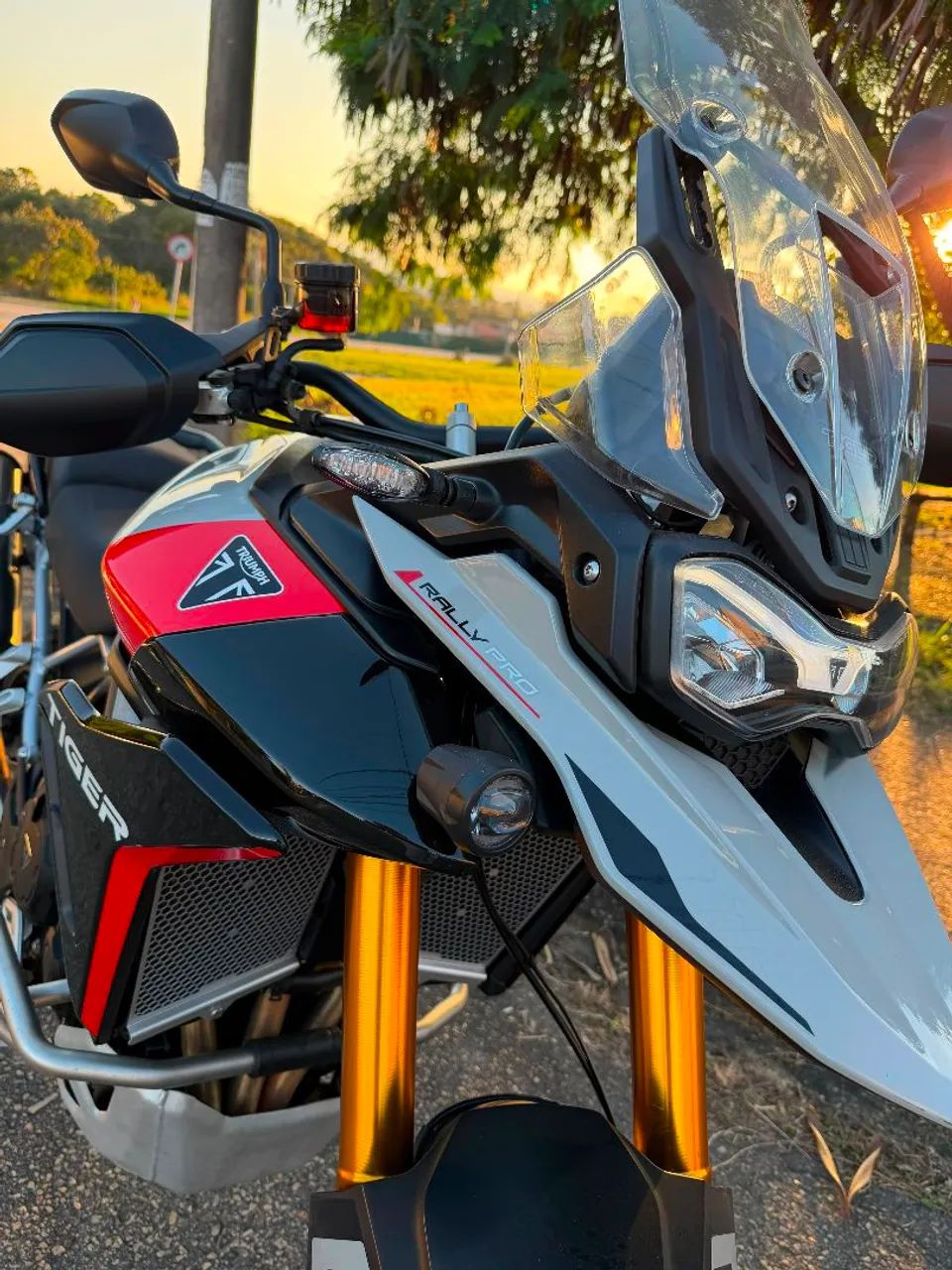 Tiger 900cc Rally Pro - Foto 2