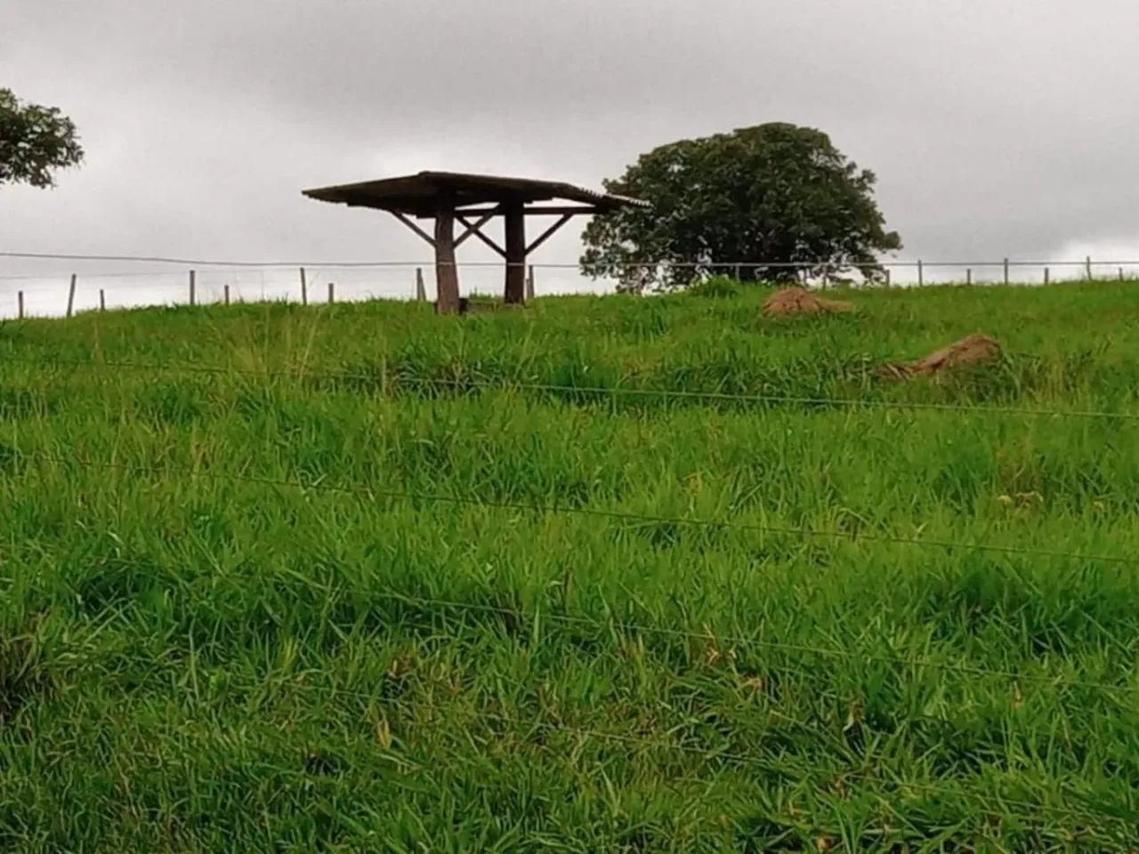 Fazenda Extra 151 Alqueires - Dupla Aptidão! - Foto 4