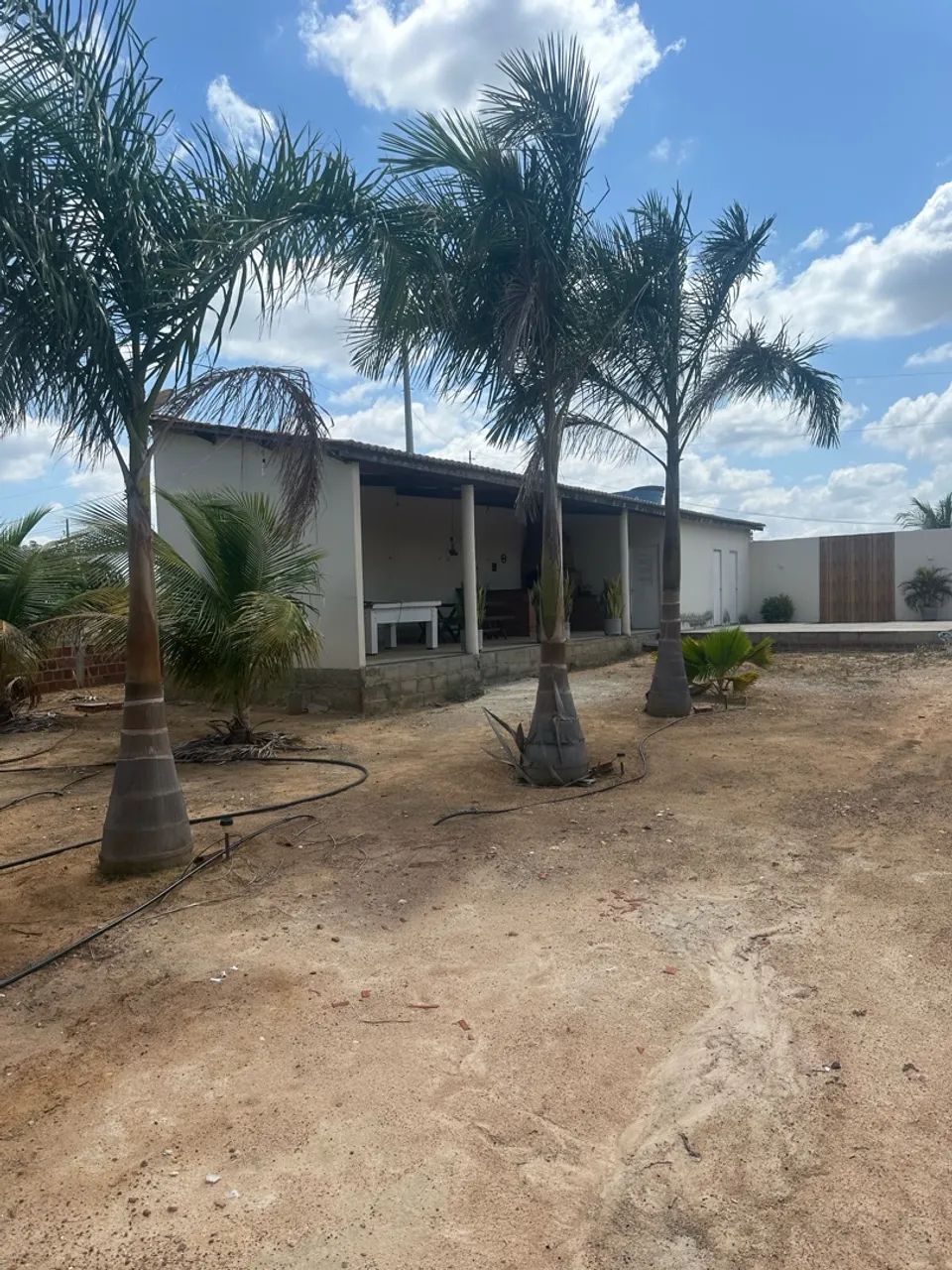 Chácara  - Foto 4