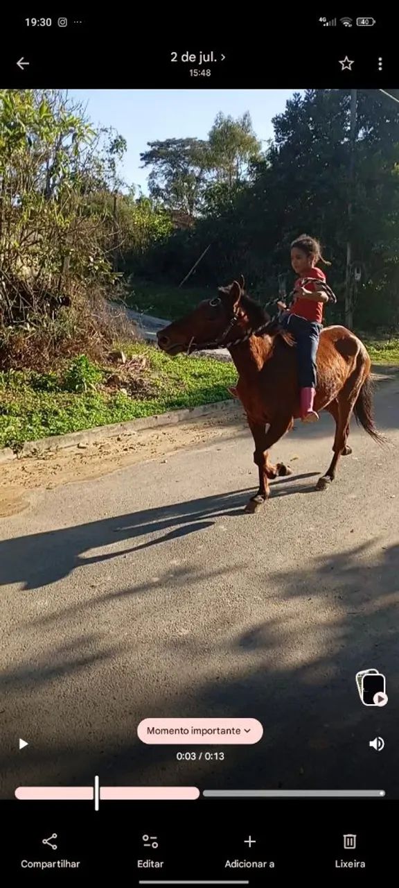 Potra marcha picada mansa para criança 2 anos  - Foto 2