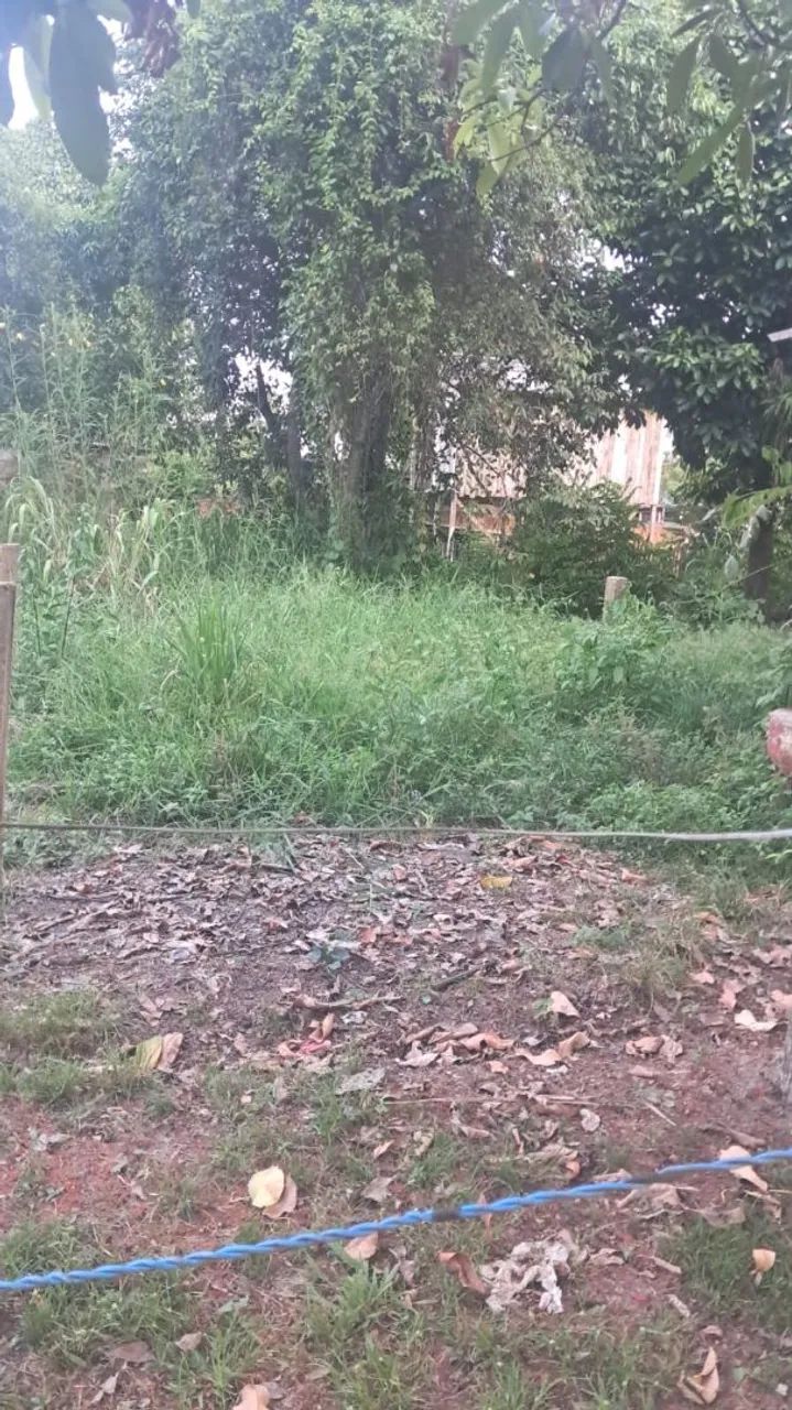 Vende-se esse terreno  - Foto 4