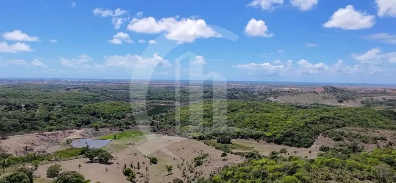 Excelente Oportunidade para Investidores: Terreno de Grande Porte no Sítio Cabrita, São Cr - Foto 3