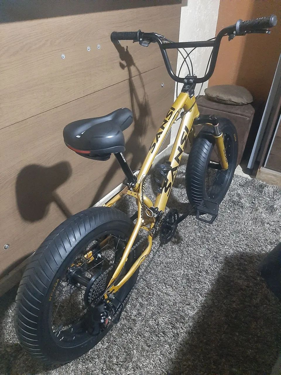 Fat bike