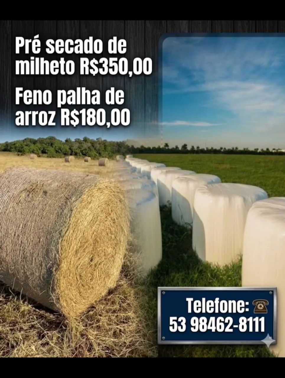 Pré secado e feno 