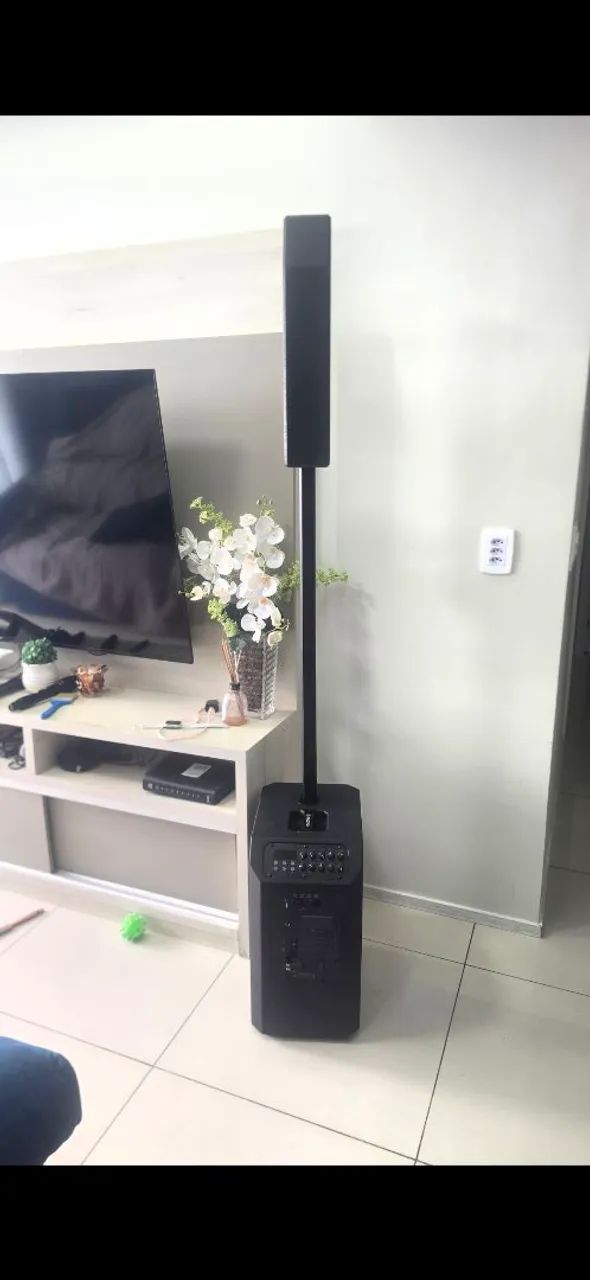 Caixa de som profissional sem fio - Foto 3