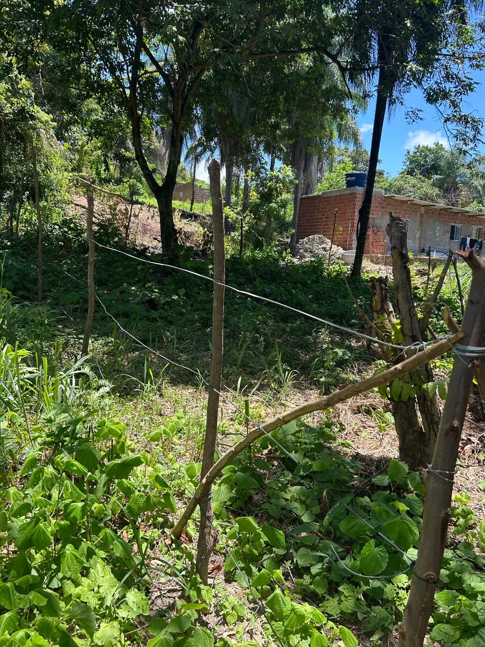 Foto - Recife - Beberibe