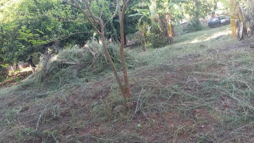 Chácara 1500m com casa Goioerê PR  - Foto 4