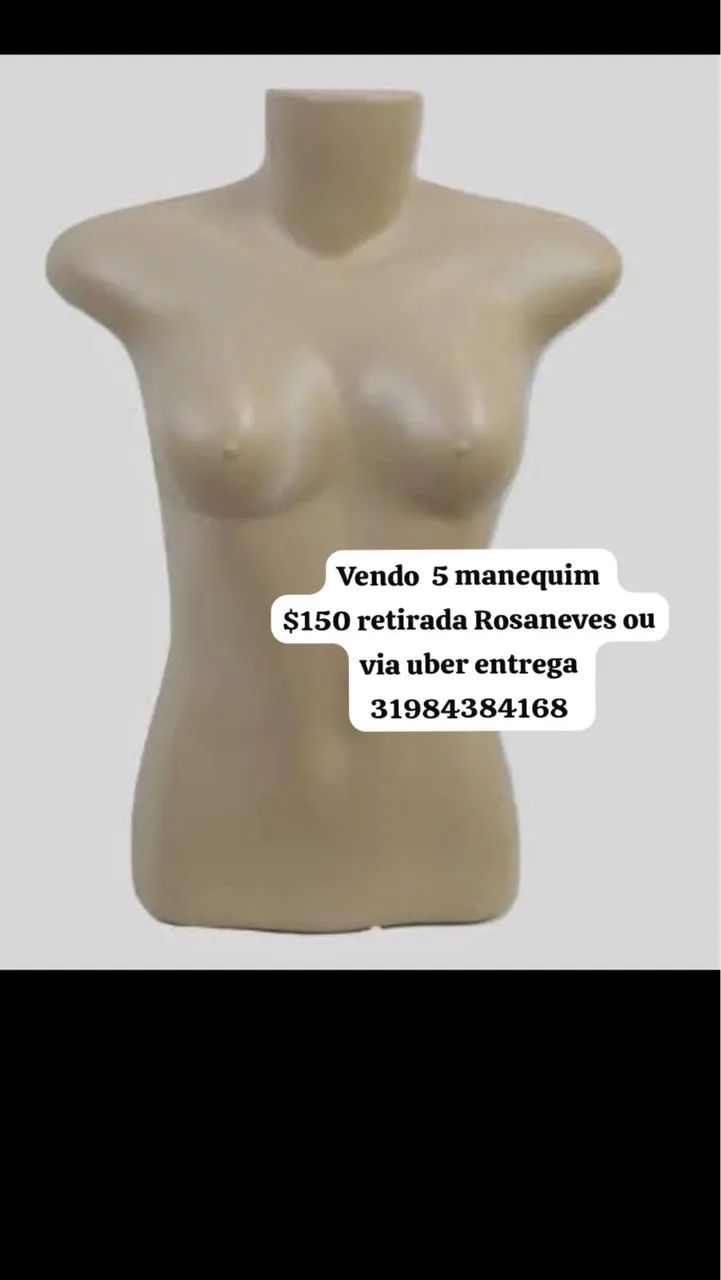 Manequim busto feminino 