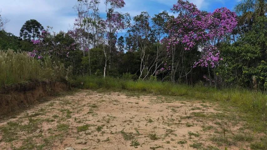 Foto - São Paulo - Parelheiros