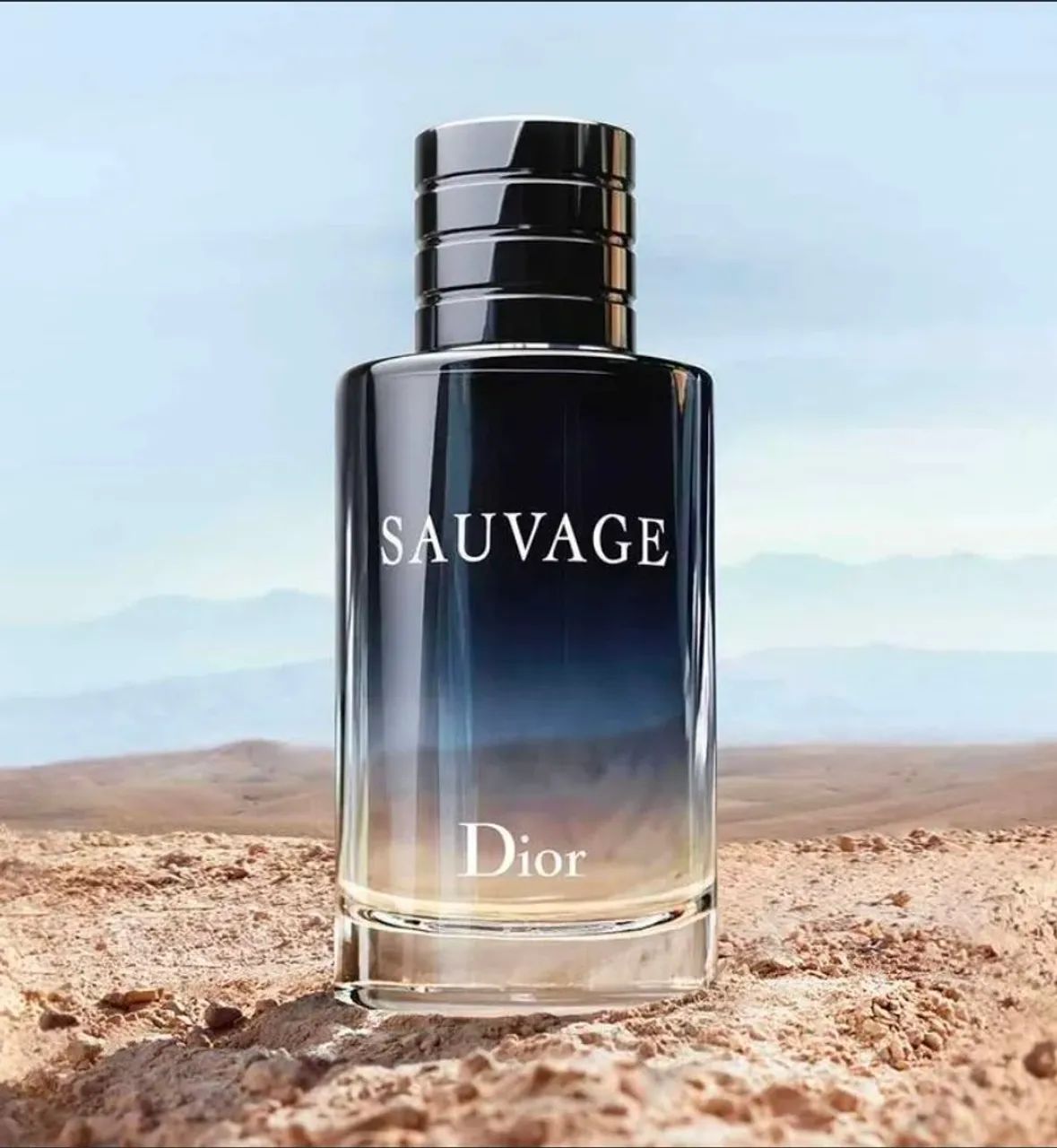 Dior Sauvage 100ml - Beleza e Cuidados Pessoais - Ceilândia Norte