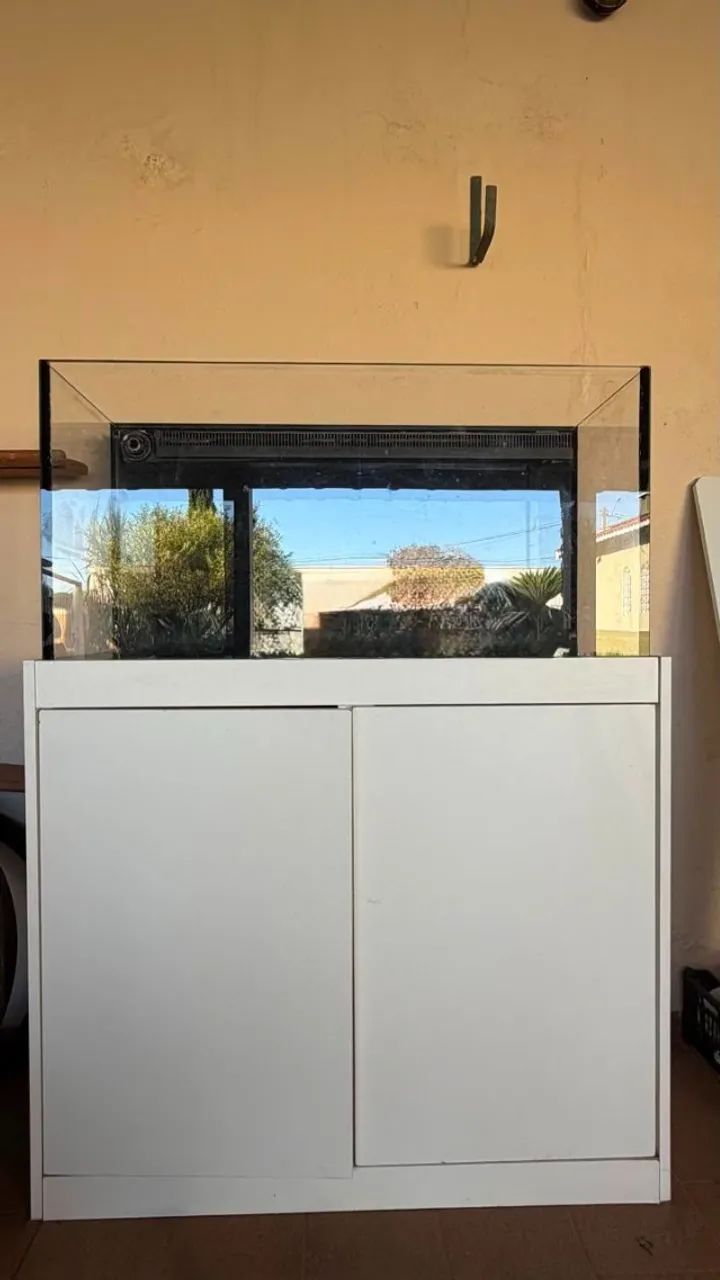 aquario - Foto 2