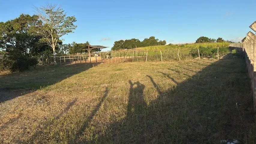 Vendo sitio  - Foto 2
