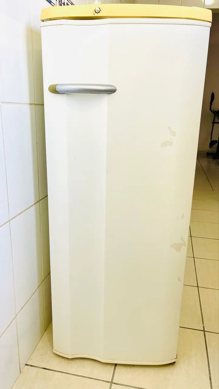 Geladeira Eletrolux 