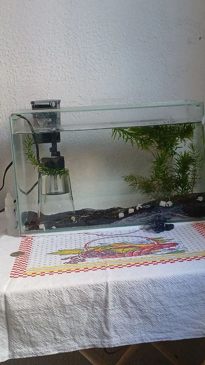 Aquario de 20litros, 40×20×25