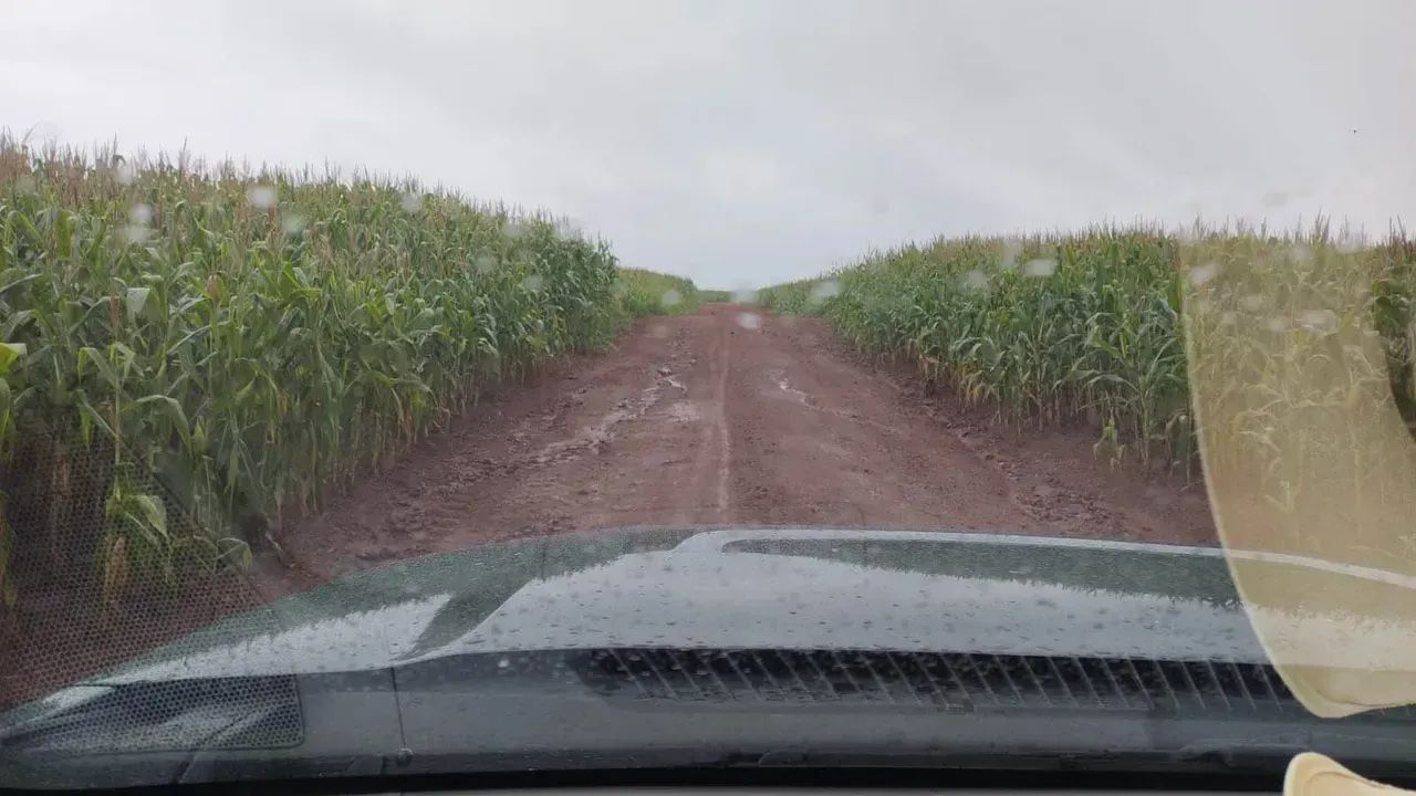 Fazenda a venda no PR. Noroeste. - Foto 3