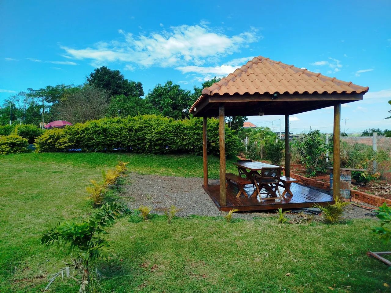 Vende se chácara na vila progresso  - Foto 4