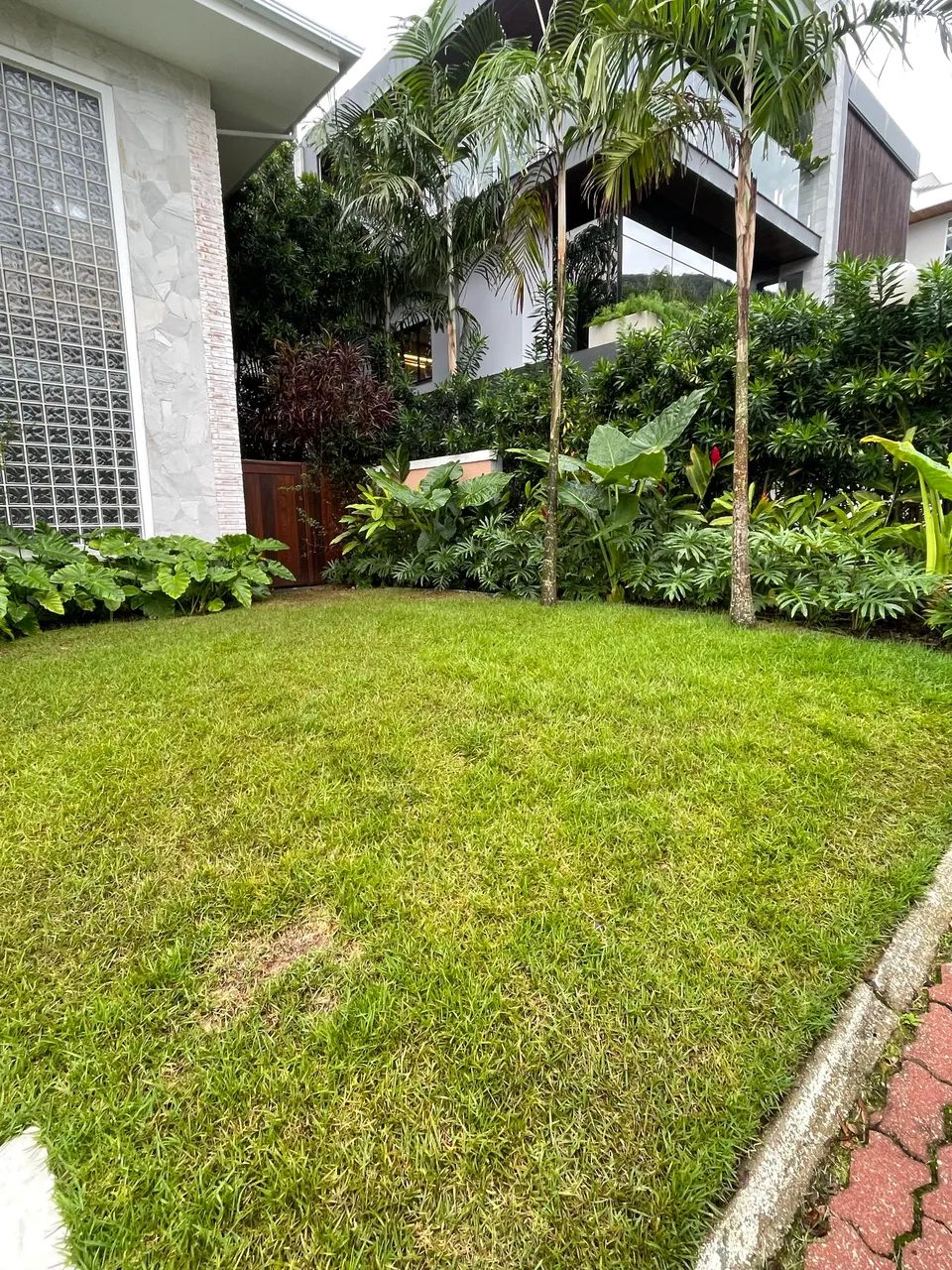 MW  jardinagem e paisagismo  - Foto 2
