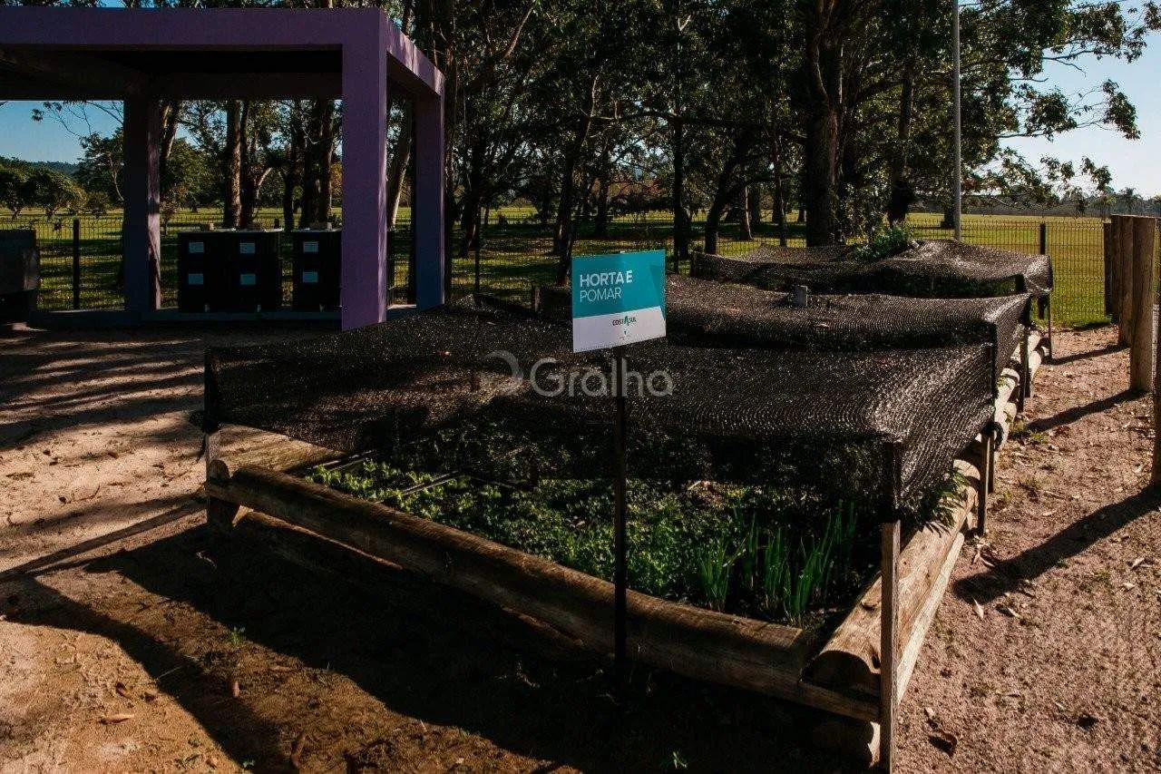 Terreno para Venda em Florianópolis, Canasvieiras - Foto 3