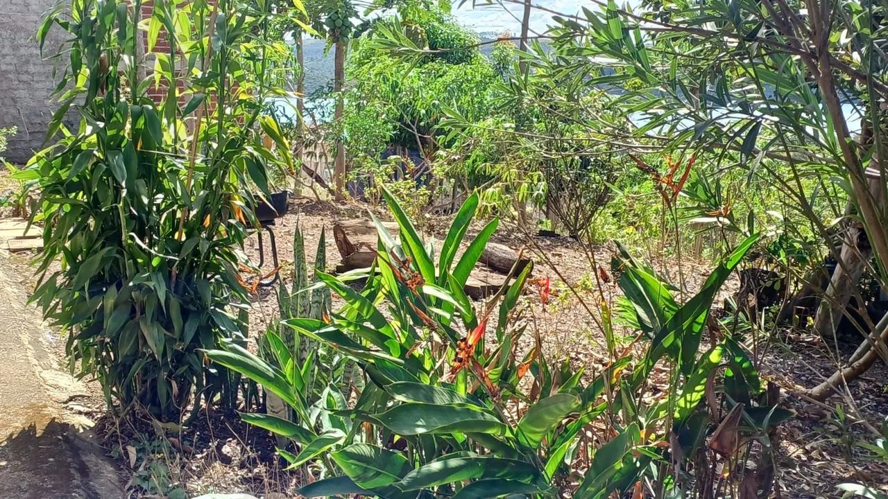 CHÁCARA ESCRITURADA, Vila Militar, Corumbá IV, Abadiânia. LEIA TODO O ANÚNCIO - Foto 13