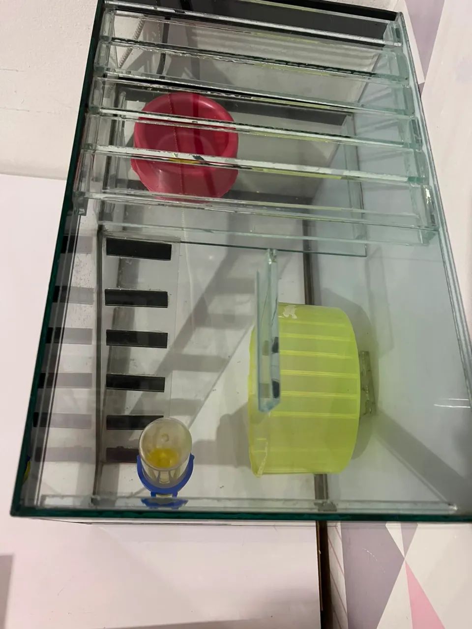 VENDO CASINHA PARA HAMSTER COMPLETA - PRONTA PARA USO! ? - Foto 2