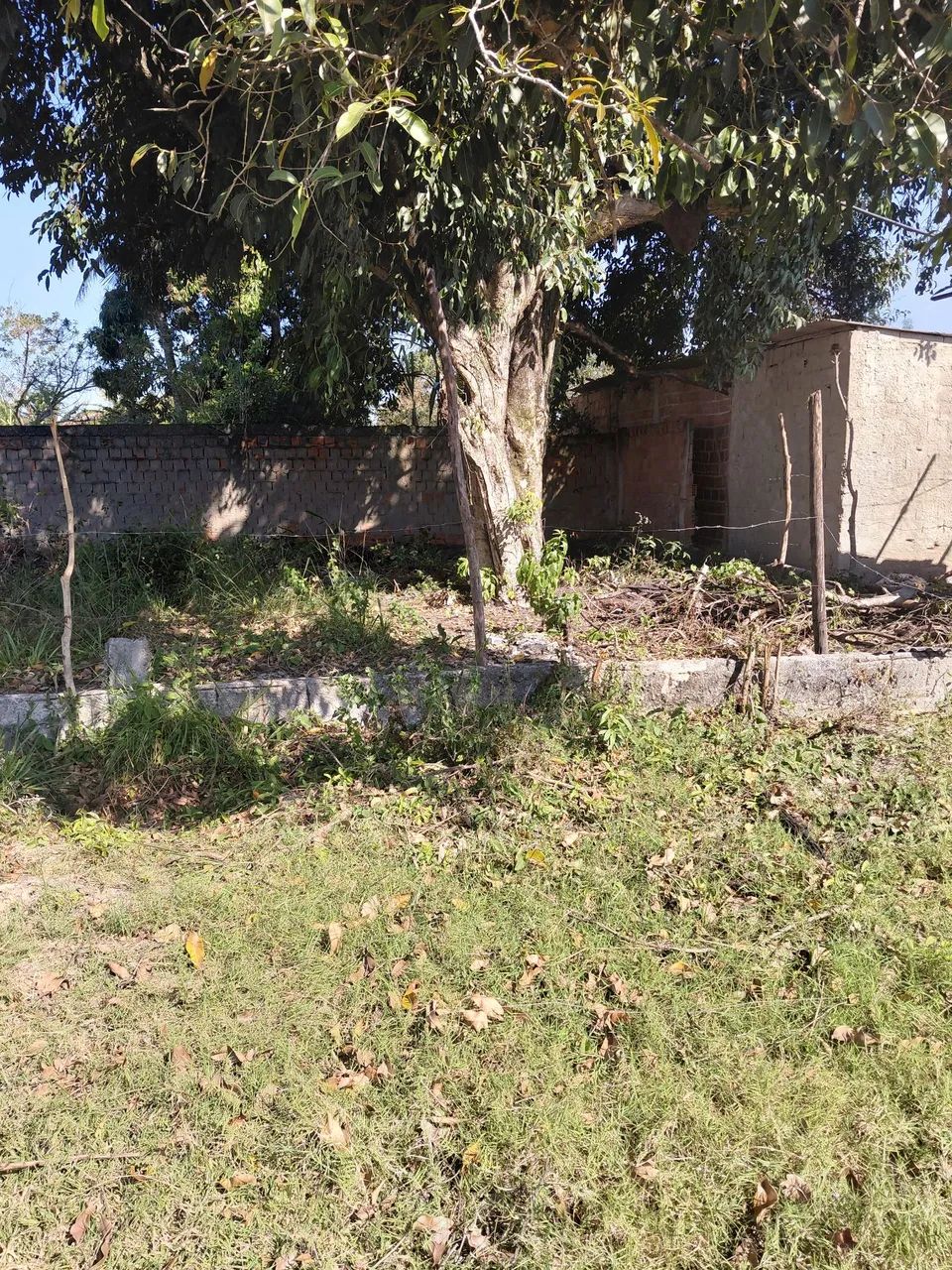 Vendo Terreno  - Foto 4