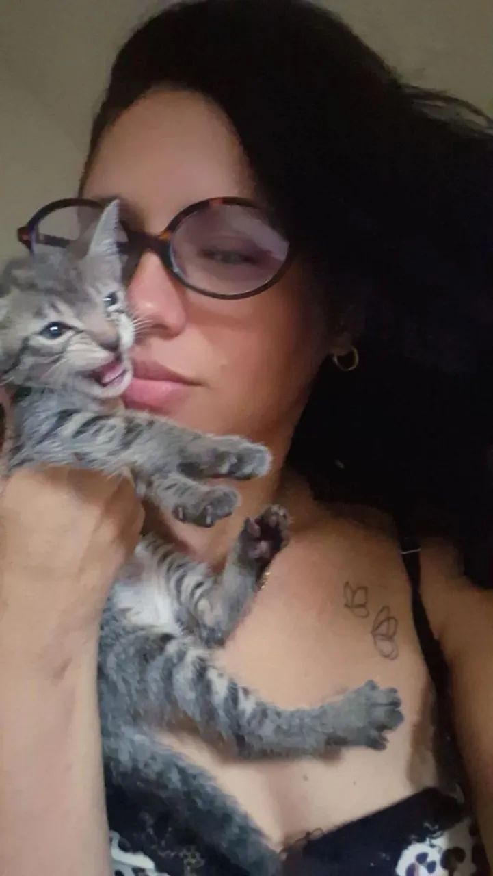 Para adoção  - Foto 3