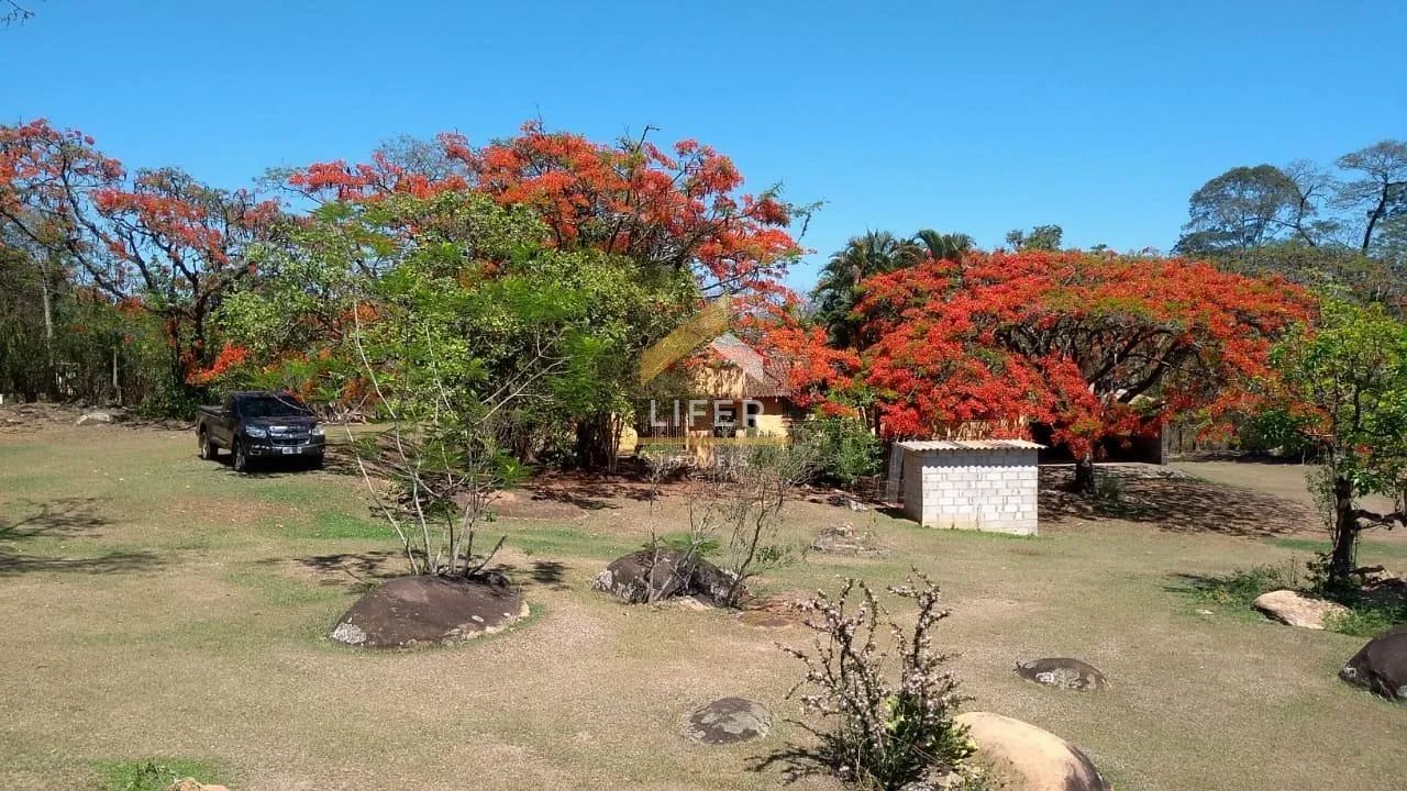 sítio - Carlos Gomes - Campinas