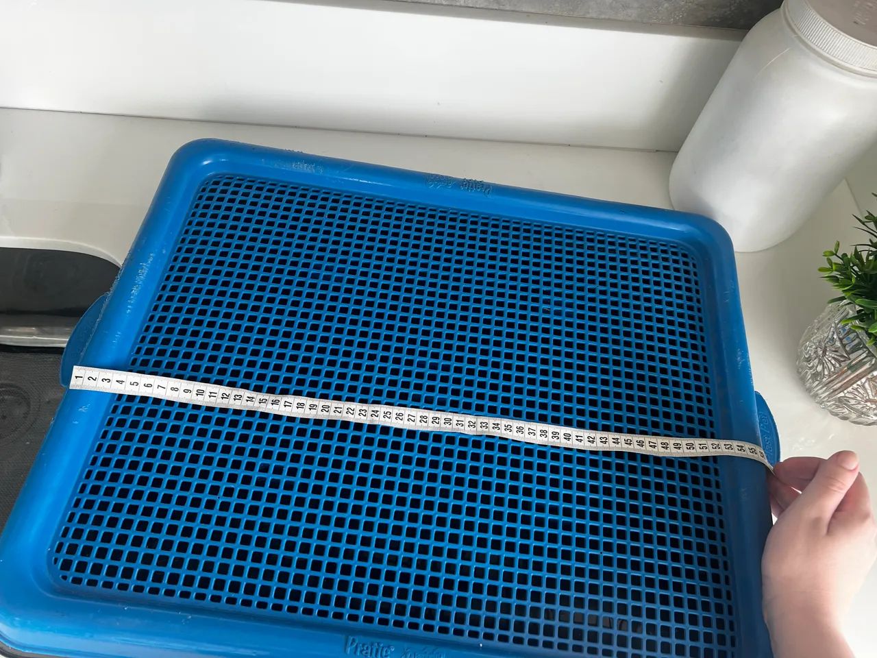 Penico para cães!  - Foto 2