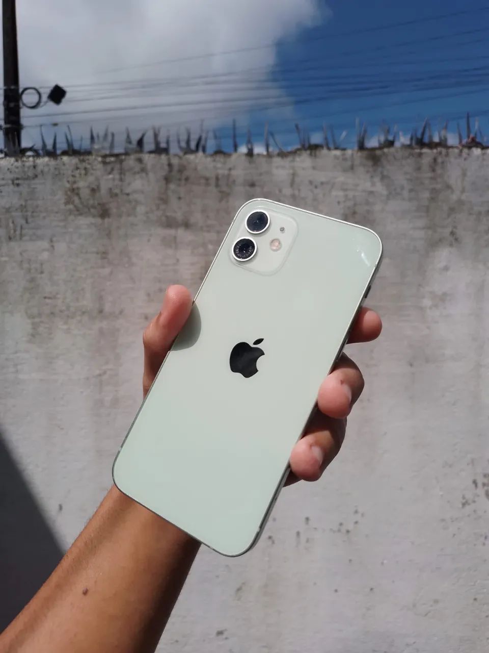 iPhone 12 normal 