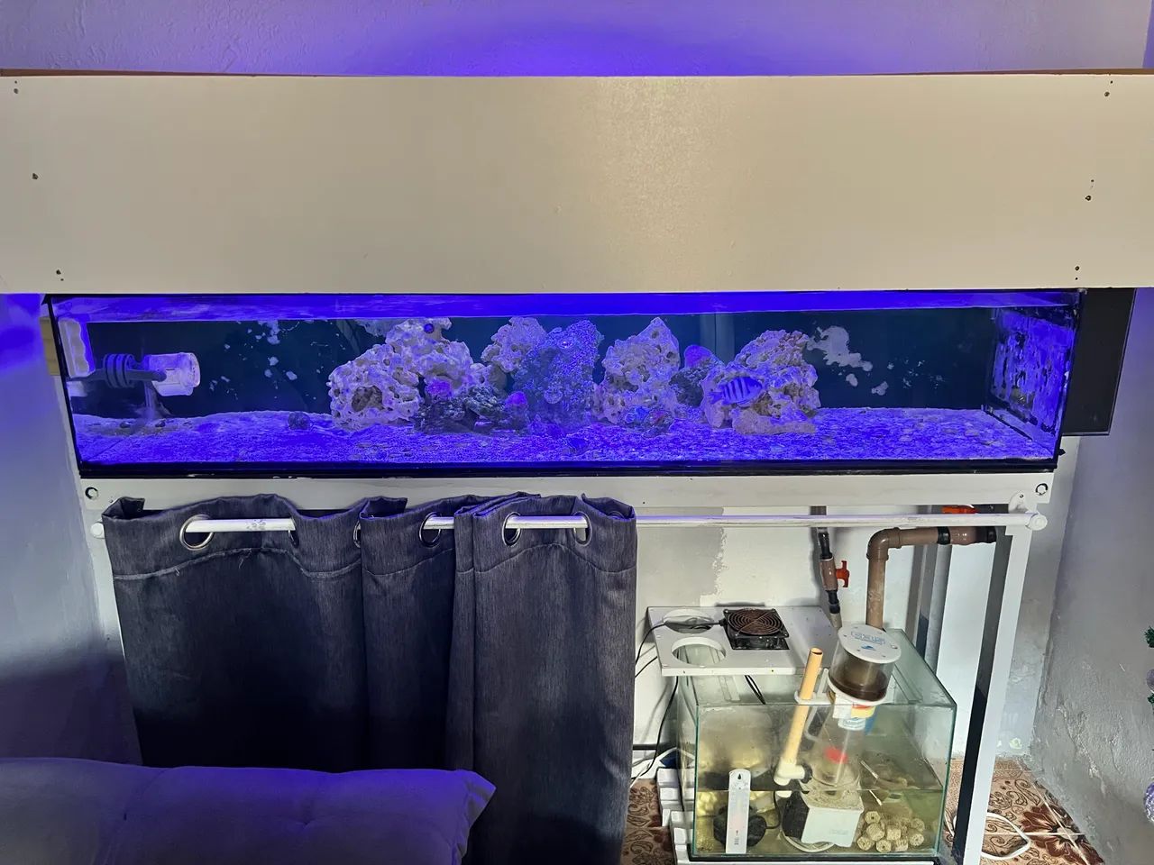 Aquário com Base  - Foto 2