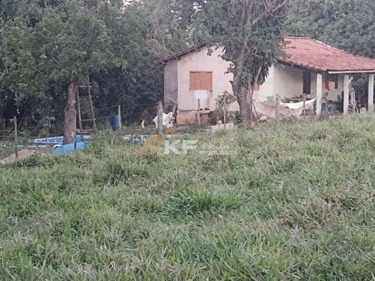 Sítio com Lavoura de café em Cassia/MG - Foto 3