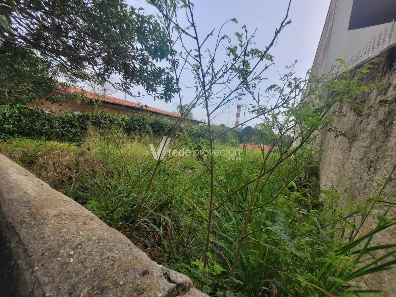terreno - Jardim Ribeiro - Valinhos - Foto 3