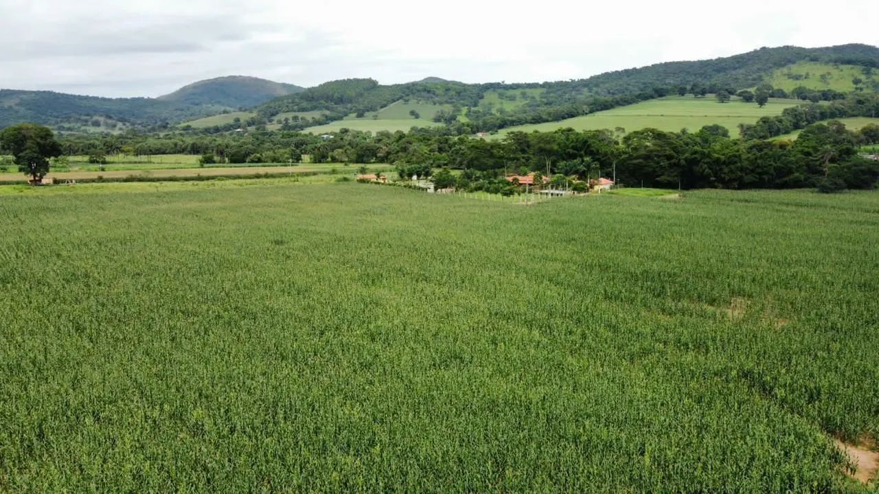 Chacaras em serra azul Mateus leme 