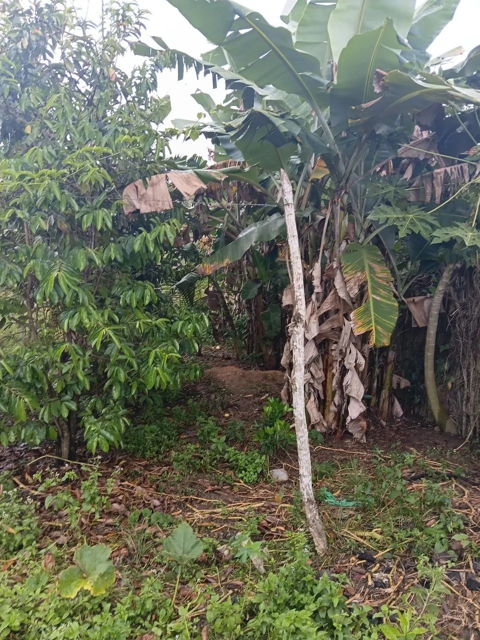 Terreno 500m² próximo ao parque aquático timbó salgado  - Foto 5