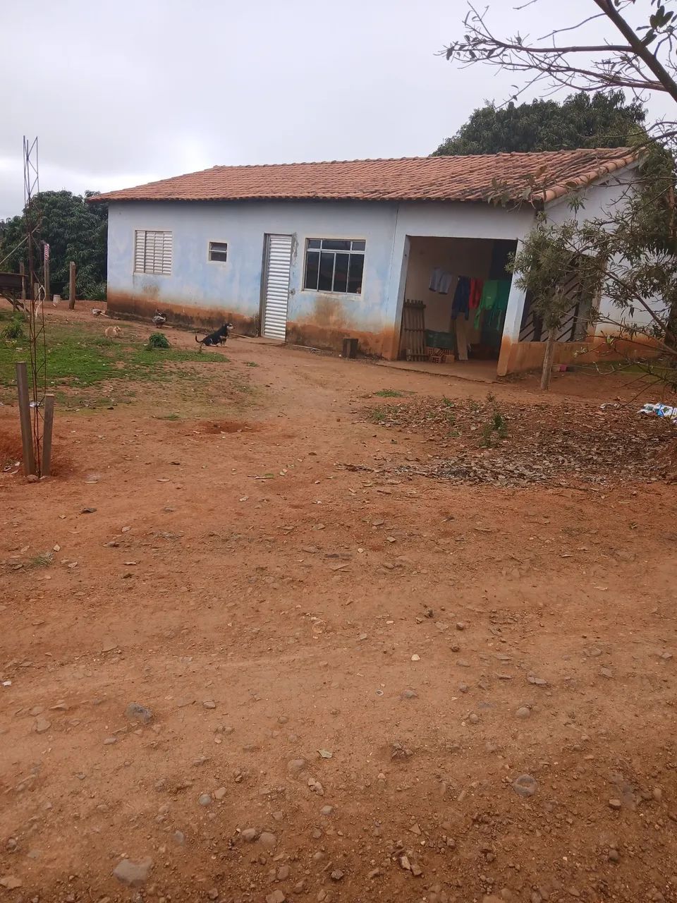 Venda