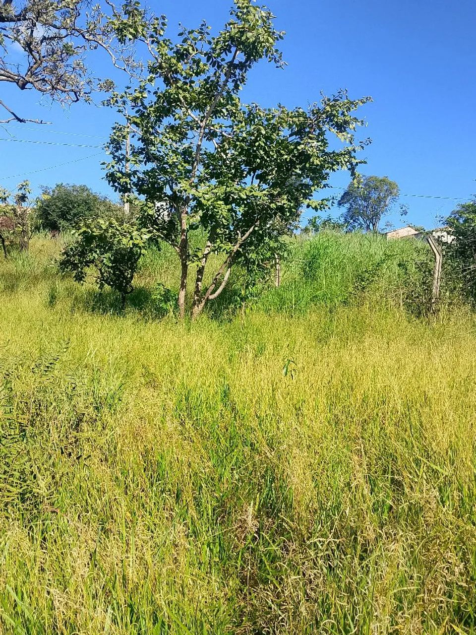 Lote360m² em sete lagoas bairro Varginha  - Foto 2