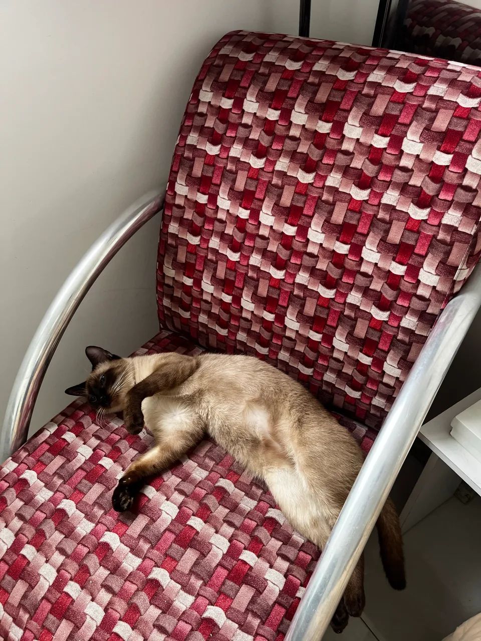 Poltrona vermelha (gata não inclusa) - Foto 3