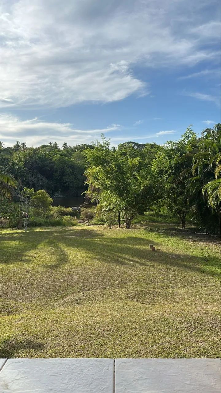 Sítio Barra de Jacuipe  - Foto 4
