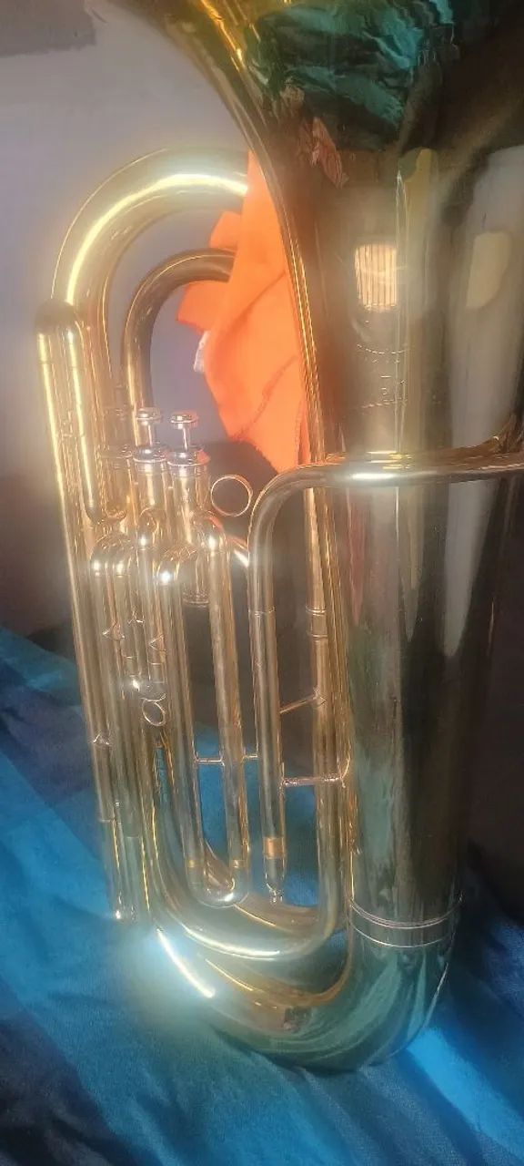 Tuba king  - Foto 4