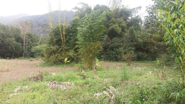 Excelente área para Fazenda no Espraiado com 224.000,00m2 - Maricá - Foto 5
